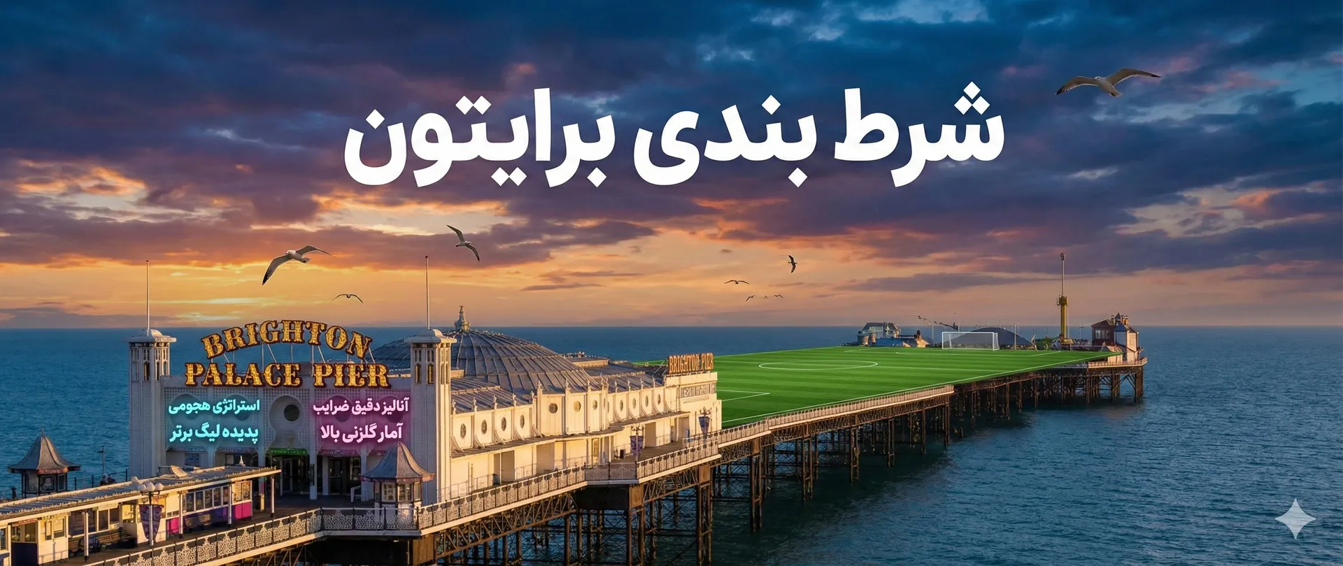 شرط بندی برایتون